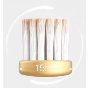 6 affordable packs toothbrush