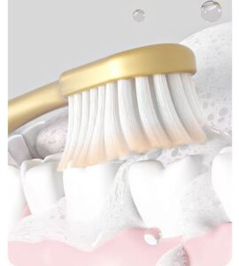 6 affordable packs toothbrush